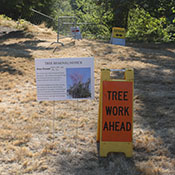 signs reading 'tree work ahead" and 'tree removal notice'